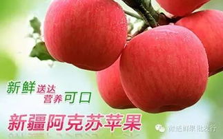 微送水果工廠店12家門店同慶盛典 每日供應依舊秒光，水果為何至此搶購大戰？